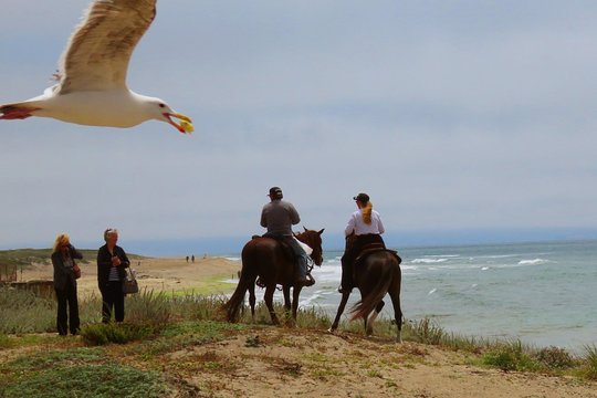 Tour image 3